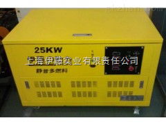 yt25reg 油田用25千瓦汽油發電機 yt25reg 上海伊藤實業有限責任公司
